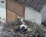 Capi_Dubne_20250523_145503.jpg