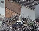Capi_Dubne_20250523_150004.jpg