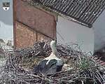 Capi_Dubne_20250523_150502.jpg