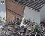 Capi_Dubne_20250523_151003.jpg