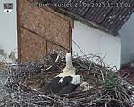 Capi_Dubne_20250523_151502.jpg