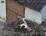 Capi_Dubne_20250523_152004.jpg
