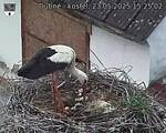 Capi_Dubne_20250523_152502.jpg