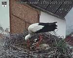Capi_Dubne_20250523_153003.jpg
