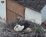 Capi_Dubne_20250523_153504.jpg
