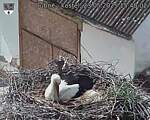 Capi_Dubne_20250523_154002.jpg