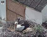 Capi_Dubne_20250523_154503.jpg