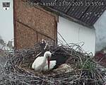 Capi_Dubne_20250523_155504.jpg