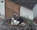 Capi_Dubne_20250523_160504.jpg