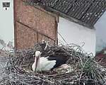 Capi_Dubne_20250523_161003.jpg