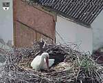 Capi_Dubne_20250523_161502.jpg