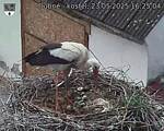 Capi_Dubne_20250523_162504.jpg