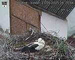 Capi_Dubne_20250523_163504.jpg