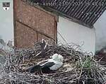 Capi_Dubne_20250523_164003.jpg