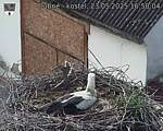 Capi_Dubne_20250523_165004.jpg