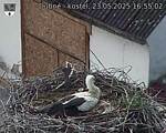 Capi_Dubne_20250523_165502.jpg