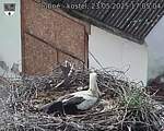 Capi_Dubne_20250523_170504.jpg