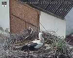 Capi_Dubne_20250523_171002.jpg