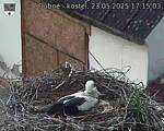 Capi_Dubne_20250523_171503.jpg