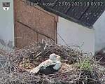 Capi_Dubne_20250523_180502.jpg