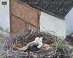 Capi_Dubne_20250523_181003.jpg