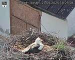 Capi_Dubne_20250523_182504.jpg
