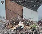 Capi_Dubne_20250523_183503.jpg