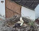 Capi_Dubne_20250523_184002.jpg