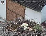 Capi_Dubne_20250523_185004.jpg
