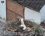 Capi_Dubne_20250523_185502.jpg