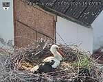 Capi_Dubne_20250523_190503.jpg