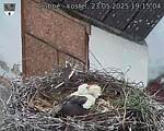 Capi_Dubne_20250523_191504.jpg