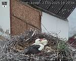 Capi_Dubne_20250523_192004.jpg