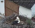 Capi_Dubne_20250523_193002.jpg