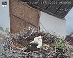 Capi_Dubne_20250523_194002.jpg