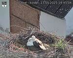 Capi_Dubne_20250523_194504.jpg