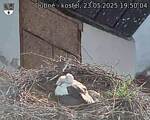 Capi_Dubne_20250523_195004.jpg