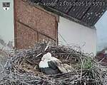 Capi_Dubne_20250523_195503.jpg