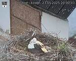 Capi_Dubne_20250523_200003.jpg