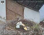 Capi_Dubne_20250523_200503.jpg