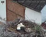 Capi_Dubne_20250523_202004.jpg