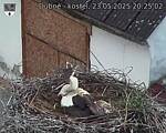 Capi_Dubne_20250523_202502.jpg