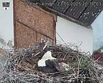 Capi_Dubne_20250523_203003.jpg