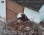 Capi_Dubne_20250523_204003.jpg