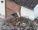 Capi_Dubne_20250523_205003.jpg