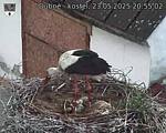 Capi_Dubne_20250523_205502.jpg