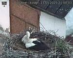 Capi_Dubne_20250523_210003.jpg