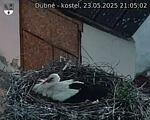 Capi_Dubne_20250523_210502.jpg