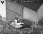 Capi_Dubne_20250523_211502.jpg