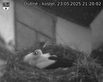 Capi_Dubne_20250523_212002.jpg